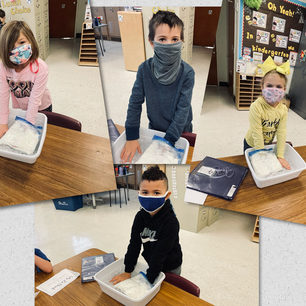 Mrs. Hoelscher’s class2