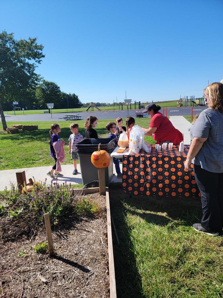 Pumpkin Patch