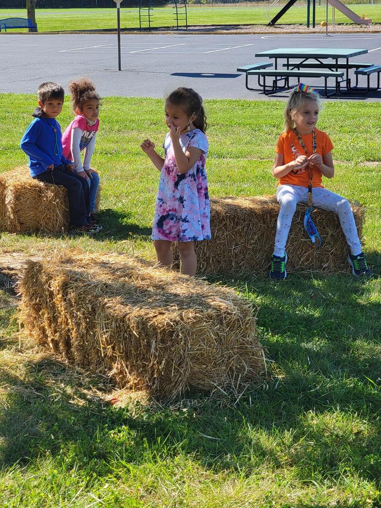 Pumpkin Patch