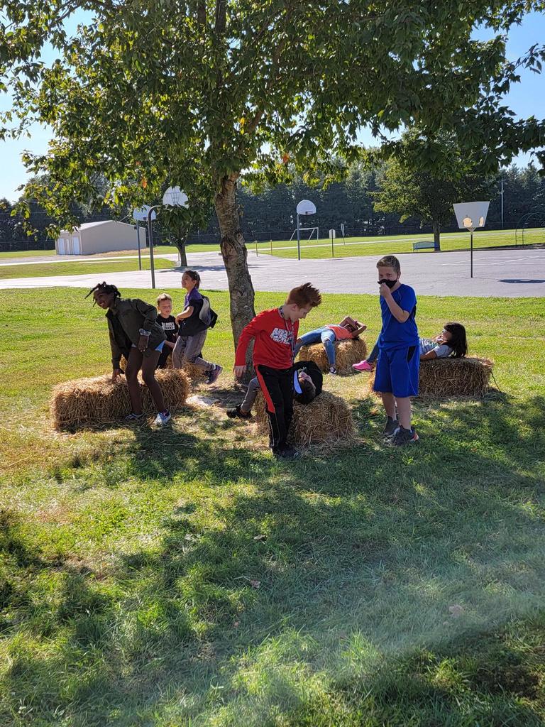 Fall Fest