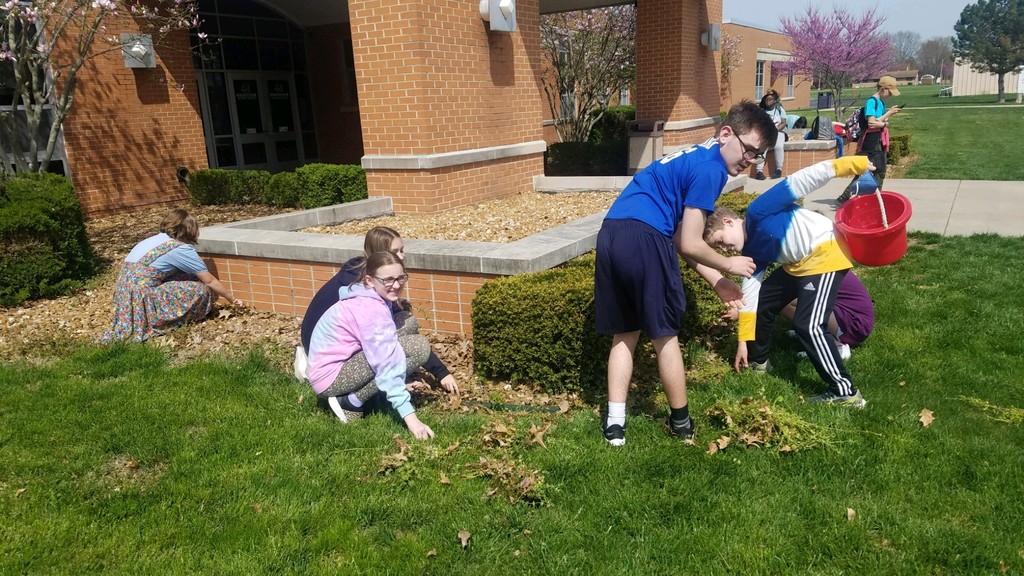 Students pulling weeds at MMS