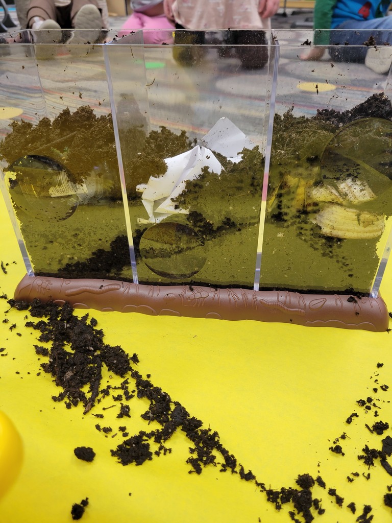 decomposing experiment