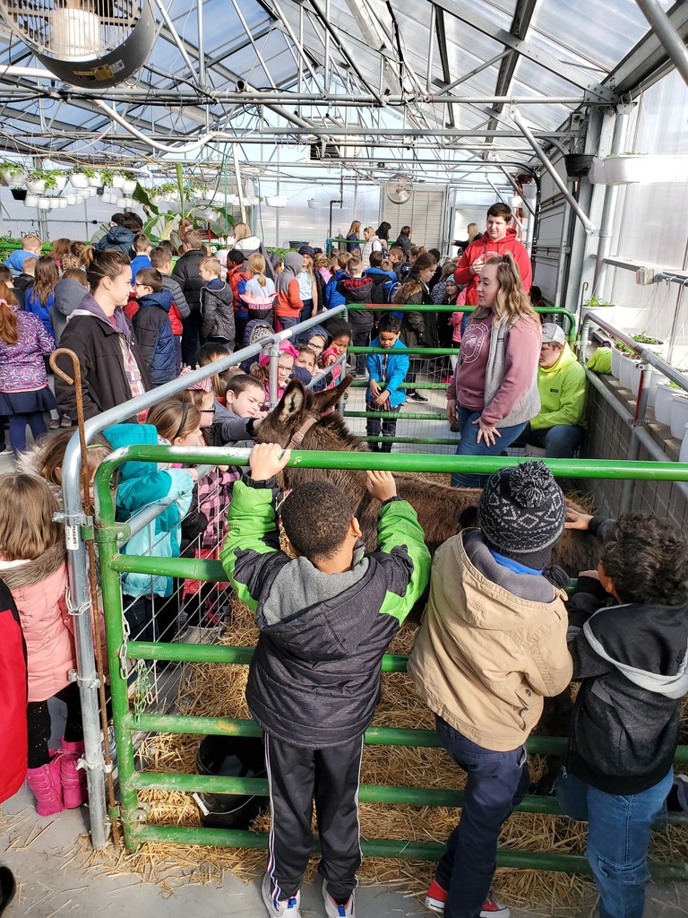 Scott Elementary Kindergartners had a great time learning about farm animals at the annual Mascoutah High School FFA petting zoo. #19EveryStudent