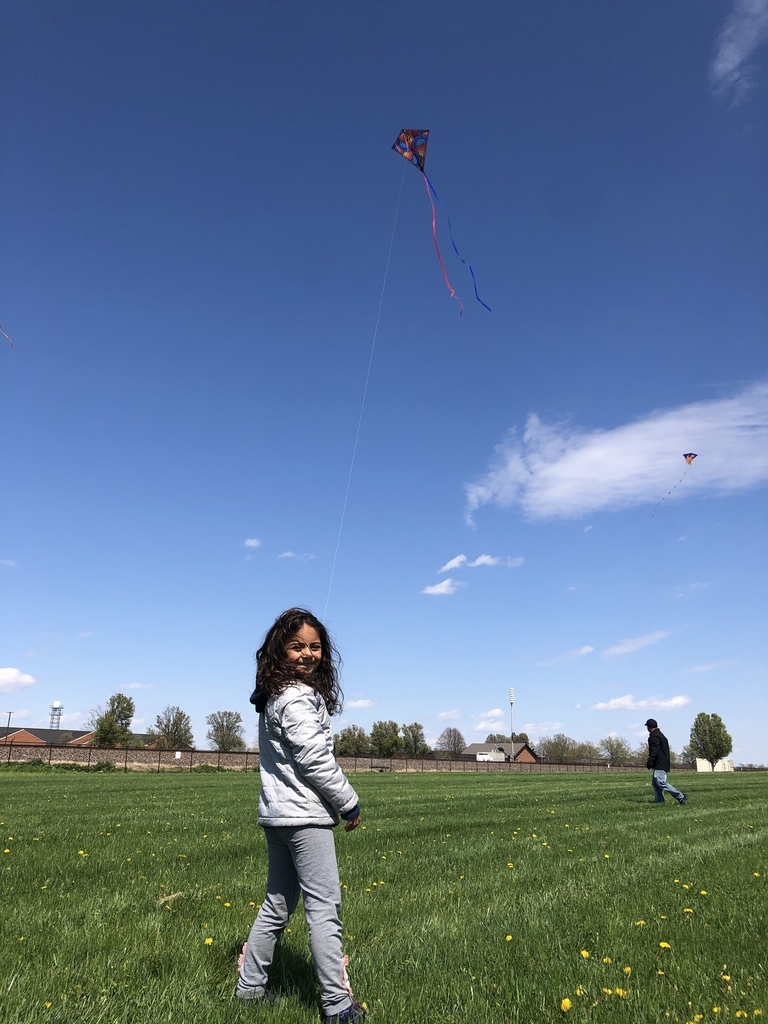 Flying a kite 